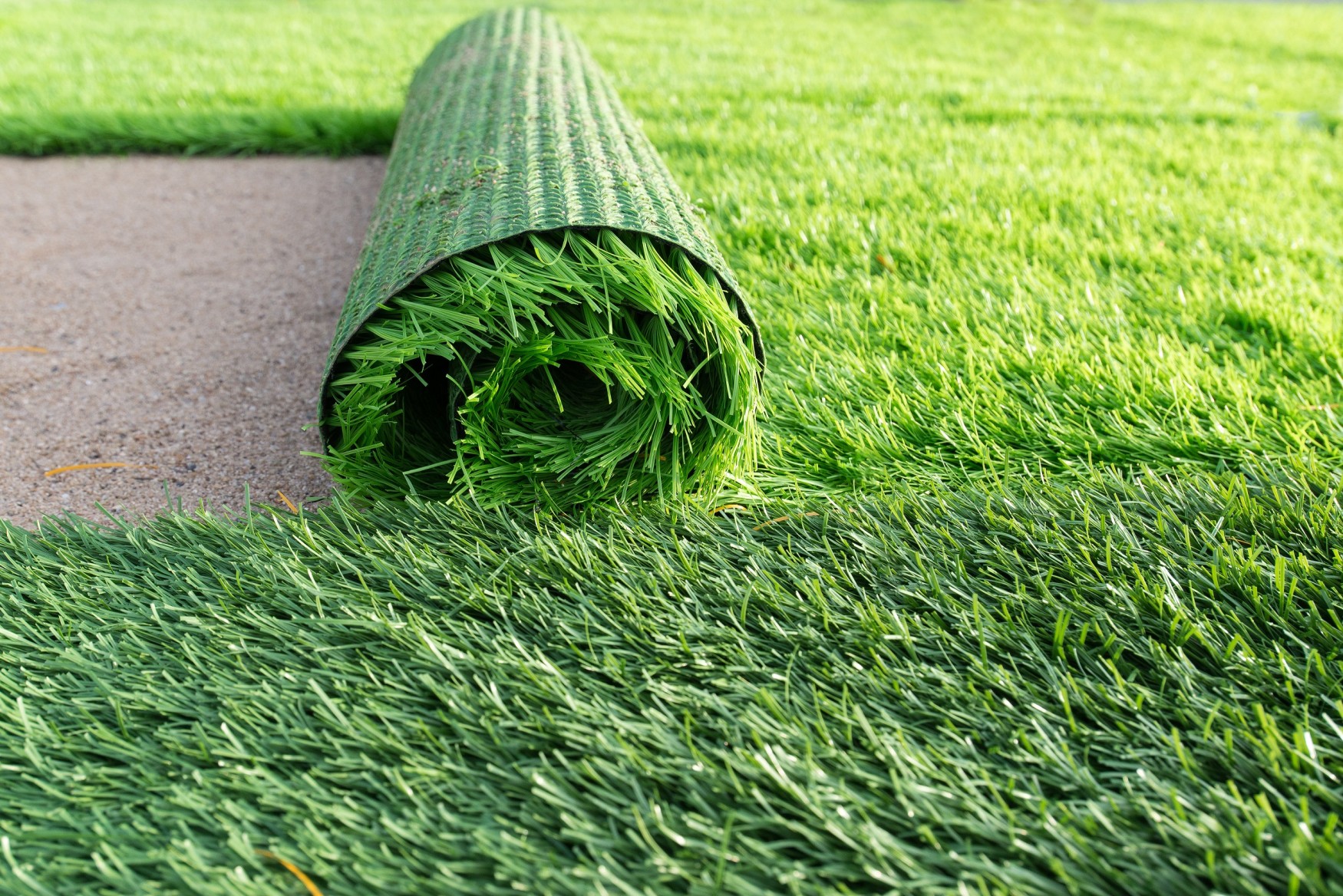 The Best Lawn Alternatives To Grass RGB Building Supplies Blog